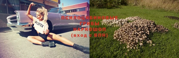 альфа пвп Верхнеуральск