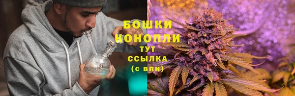 трава Верхний Тагил